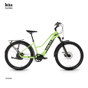 OEM Women's Easy Drive Step-through Electric City Bike with Belt Drive 