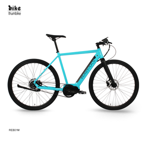 OEM Urban Aluminium Mid Drive Electric City Bike مع محرك الحزام